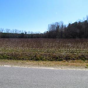 Photo #28 of SOLD property in Off Hunt Club Rd, Carrsville, VA 138.0 acres