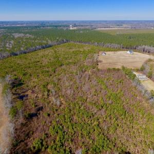Photo #12 of SOLD property in 720 Eagles Road , Pinetops , NC 45.3 acres