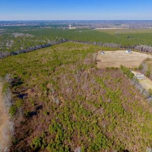 Photo #12 of SOLD property in 720 Eagles Road , Pinetops , NC 45.3 acres
