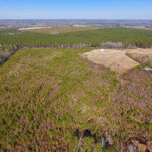 Photo #15 of SOLD property in 720 Eagles Road , Pinetops , NC 45.3 acres