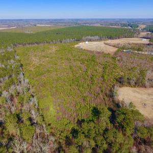 Photo #16 of SOLD property in 720 Eagles Road , Pinetops , NC 45.3 acres