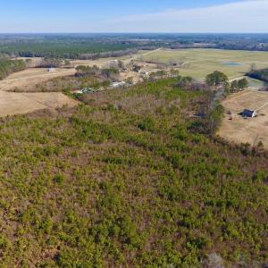 Photo #18 of SOLD property in 720 Eagles Road , Pinetops , NC 45.3 acres