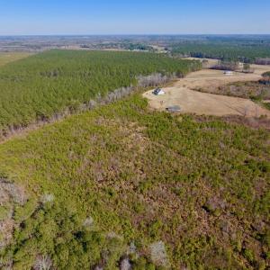 Photo #19 of SOLD property in 720 Eagles Road , Pinetops , NC 45.3 acres