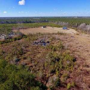 Photo #4 of SOLD property in 720 Eagles Road , Pinetops , NC 45.3 acres