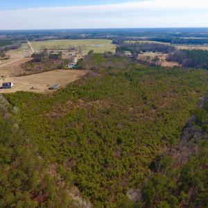Photo #21 of SOLD property in 720 Eagles Road , Pinetops , NC 45.3 acres