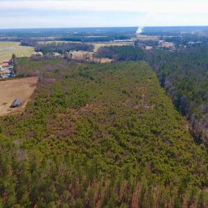 Photo #22 of SOLD property in 720 Eagles Road , Pinetops , NC 45.3 acres