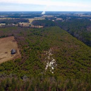 Photo #23 of SOLD property in 720 Eagles Road , Pinetops , NC 45.3 acres