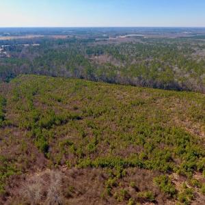 Photo #25 of SOLD property in 720 Eagles Road , Pinetops , NC 45.3 acres