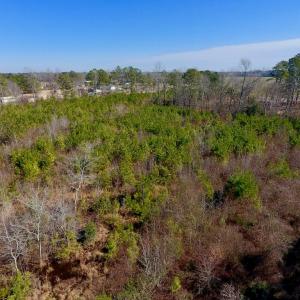 Photo #30 of SOLD property in 720 Eagles Road , Pinetops , NC 45.3 acres