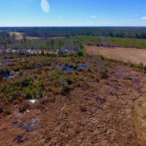 Photo #5 of SOLD property in 720 Eagles Road , Pinetops , NC 45.3 acres