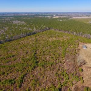 Photo #10 of SOLD property in 720 Eagles Road , Pinetops , NC 45.3 acres