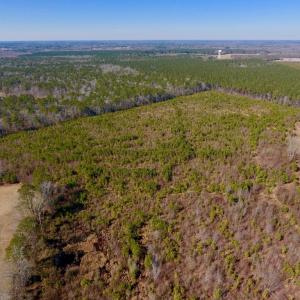 Photo #11 of SOLD property in 720 Eagles Road , Pinetops , NC 45.3 acres