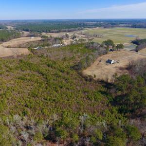 Photo #16 of SOLD property in Off Allie Mae Road , Cedar Grove , NC 11.8 acres