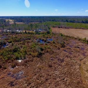 Photo #4 of SOLD property in Off Allie Mae Road , Cedar Grove , NC 11.8 acres