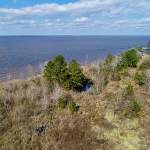 Photo #8 of  Off Taylors Beach Rd, Columbia, NC 48.5 acres