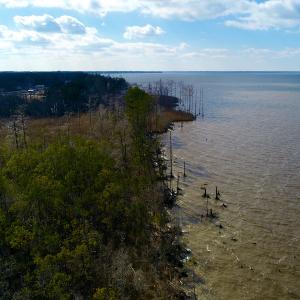 Photo #10 of  Off Taylors Beach Rd, Columbia, NC 48.5 acres
