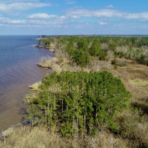 Photo #11 of  Off Taylors Beach Rd, Columbia, NC 48.5 acres