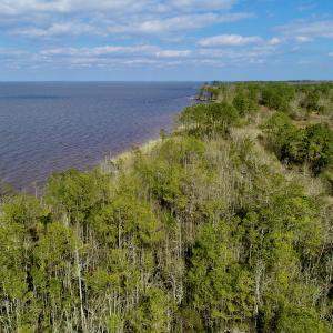 Photo #12 of  Off Taylors Beach Rd, Columbia, NC 48.5 acres