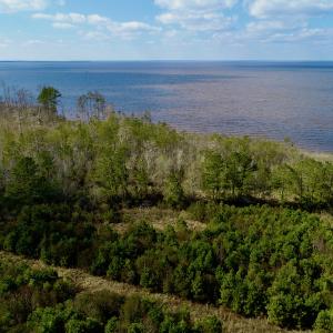 Photo #23 of  Off Taylors Beach Rd, Columbia, NC 48.5 acres