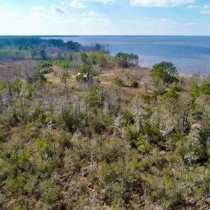 Photo #26 of  Off Taylors Beach Rd, Columbia, NC 48.5 acres