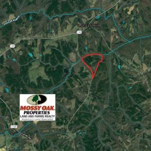 Photo #2 of SOLD property in 539 Wagonwheel Road, Reidsville, NC 52.7 acres