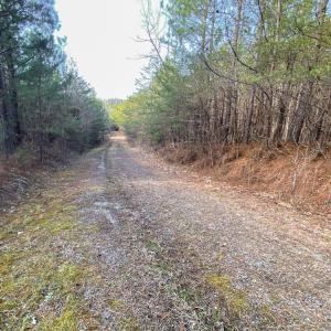 Photo #4 of SOLD property in 539 Wagonwheel Road, Reidsville, NC 52.7 acres