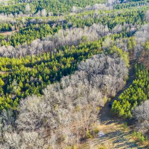 Photo #6 of SOLD property in 539 Wagonwheel Road, Reidsville, NC 52.7 acres