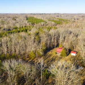 Photo #9 of SOLD property in 539 Wagonwheel Road, Reidsville, NC 52.7 acres