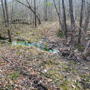 Photo #55 of SOLD property in 539 Wagonwheel Road, Reidsville, NC 52.7 acres