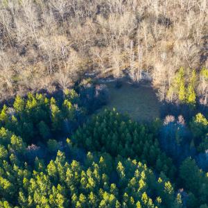 Photo #11 of SOLD property in 539 Wagonwheel Road, Reidsville, NC 52.7 acres