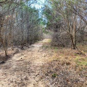 Photo #56 of SOLD property in 539 Wagonwheel Road, Reidsville, NC 52.7 acres