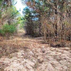 Photo #57 of SOLD property in 539 Wagonwheel Road, Reidsville, NC 52.7 acres