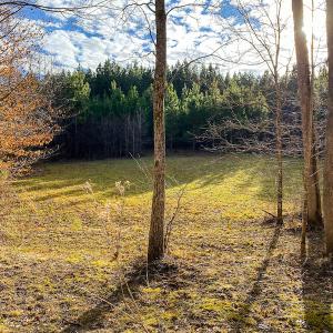 Photo #58 of SOLD property in 539 Wagonwheel Road, Reidsville, NC 52.7 acres
