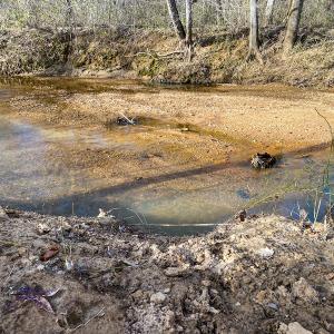 Photo #59 of SOLD property in 539 Wagonwheel Road, Reidsville, NC 52.7 acres