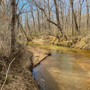 Photo #60 of SOLD property in 539 Wagonwheel Road, Reidsville, NC 52.7 acres