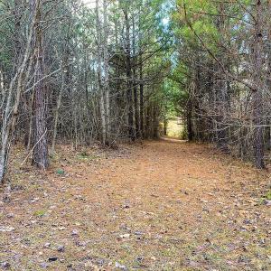 Photo #61 of SOLD property in 539 Wagonwheel Road, Reidsville, NC 52.7 acres