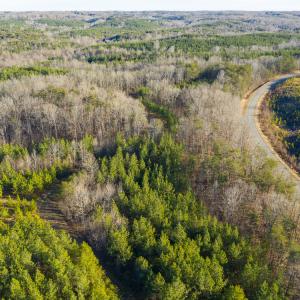 Photo #12 of SOLD property in 539 Wagonwheel Road, Reidsville, NC 52.7 acres