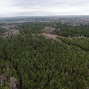 Photo #3 of SOLD property in Off McKays Bridge Road, Hamer, SC 64.0 acres