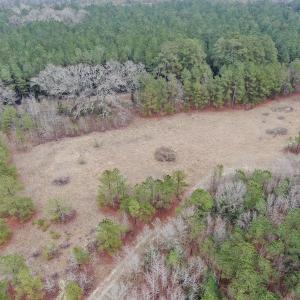 Photo #4 of SOLD property in Off McKays Bridge Road, Hamer, SC 64.0 acres