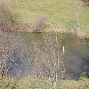 Photo #11 of SOLD property in 677 Country Rd, Austinville, VA 4.9 acres