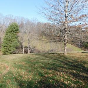 Photo #13 of SOLD property in 677 Country Rd, Austinville, VA 4.9 acres