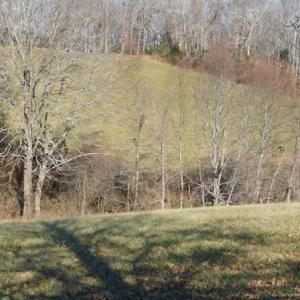 Photo #8 of SOLD property in 677 Country Rd, Austinville, VA 4.9 acres