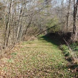 Photo #9 of SOLD property in 677 Country Rd, Austinville, VA 4.9 acres