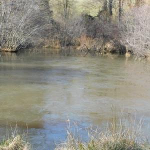 Photo #10 of SOLD property in 677 Country Rd, Austinville, VA 4.9 acres