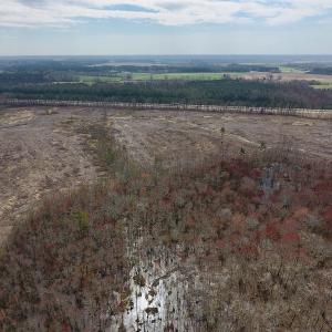 Photo #11 of SOLD property in Off Gardner School Road , Stantonsburg, NC 84.7 acres