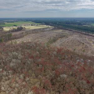 Photo #12 of SOLD property in Off Gardner School Road , Stantonsburg, NC 84.7 acres