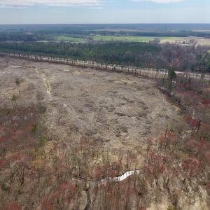 Photo #13 of SOLD property in Off Gardner School Road , Stantonsburg, NC 84.7 acres