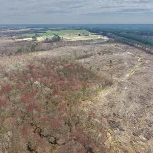 Photo #14 of SOLD property in Off Gardner School Road , Stantonsburg, NC 84.7 acres