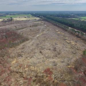 Photo #15 of SOLD property in Off Gardner School Road , Stantonsburg, NC 84.7 acres