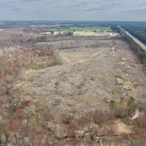 Photo #16 of SOLD property in Off Gardner School Road , Stantonsburg, NC 84.7 acres